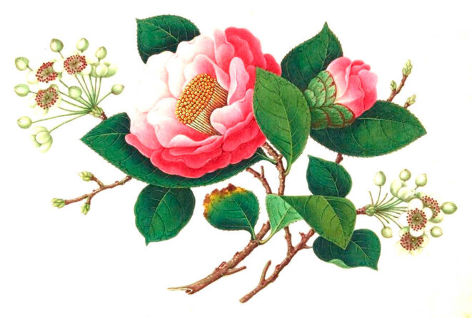 Depuis la fondation du monde