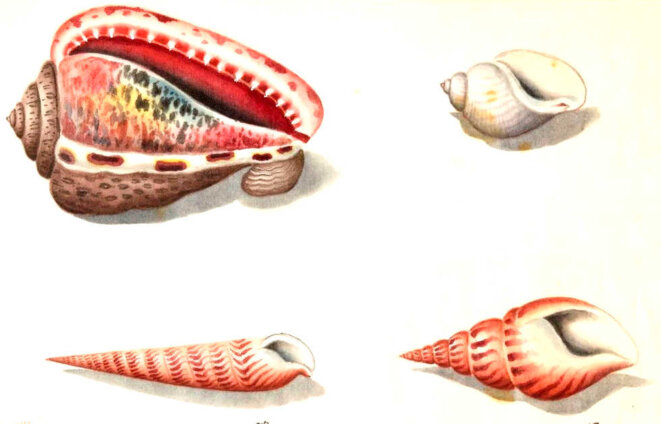 Au jardin de mon père