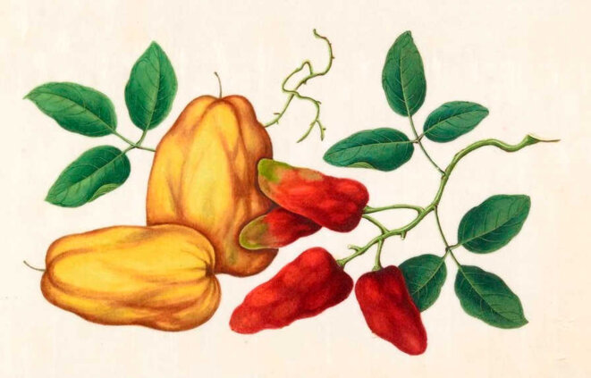 La mort du prophète