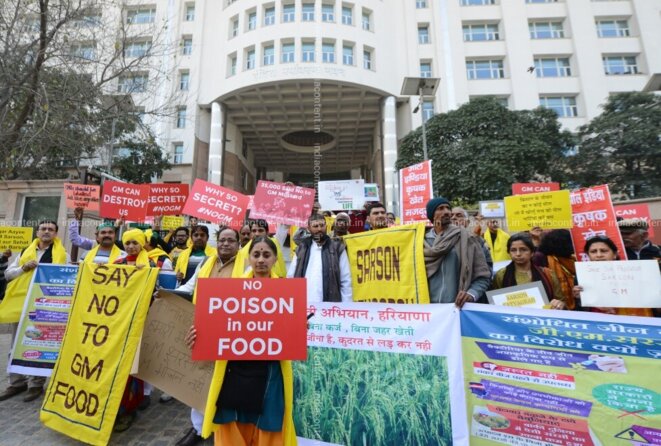 Manifestation contre la moutarde DMH-11 devant le ministère de l'Environnement et des Forêts à New Delhi (mai 2017). Photo : Sarson Satyagraha