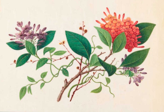 Captation d'héritage