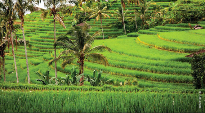 Bien le bonjour! De Dame Nature.