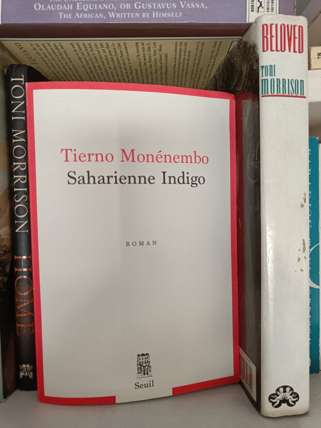 Tierno Monénembo : un écrivain au sommet de son art