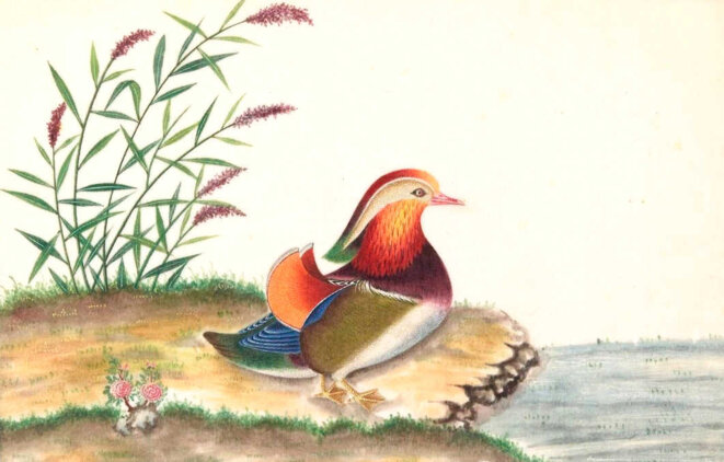 À la pêche aux sous