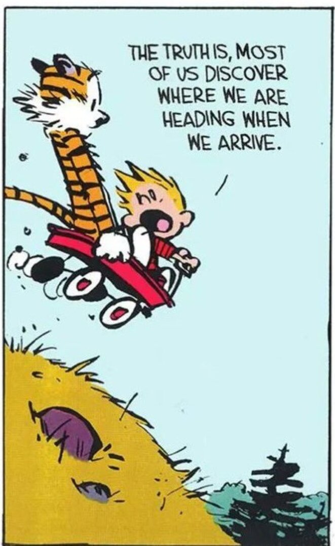 Calvin & Hobbes © Bill Watterson