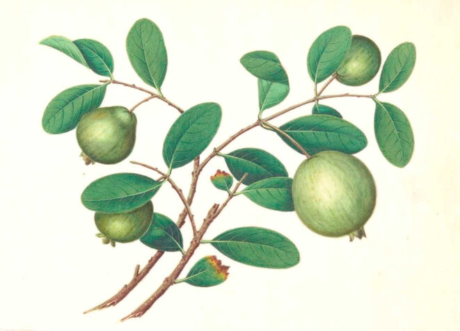 Toute une procédure