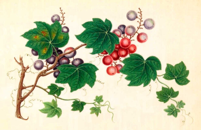 Impossible aux hommes