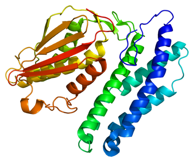 Autisme : Changements alimentaires atténuant les caractéristiques d'une maladie rare