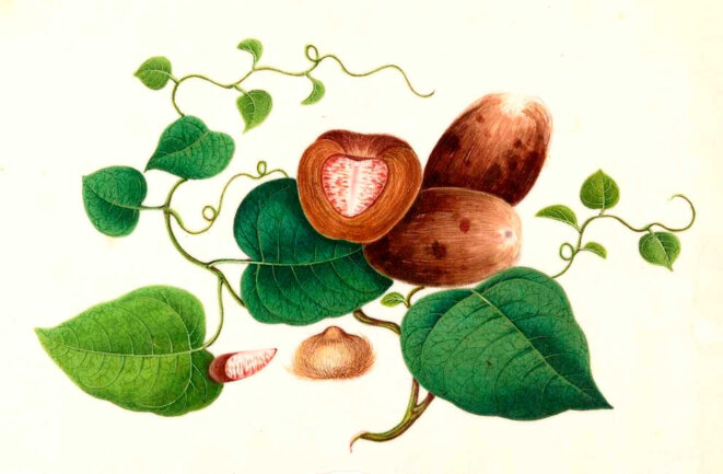 Ton œil est-il mauvais ?