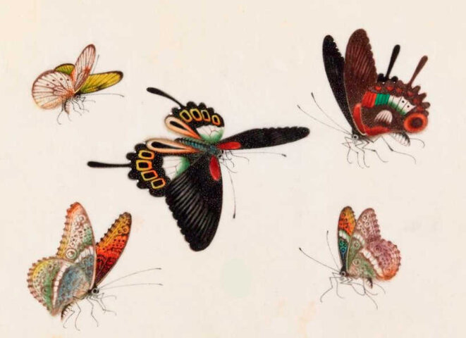 Un homme a fait des noces...