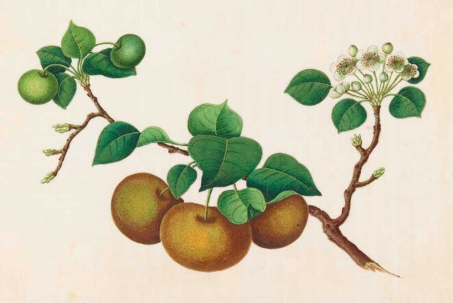 Au plus intime du plus intime