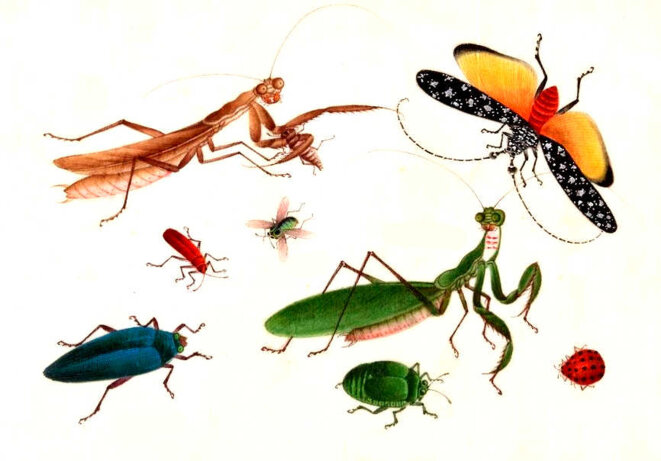 Donné, c'est donné !