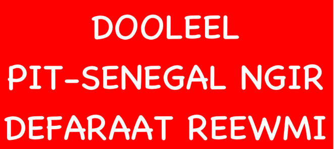dooleel11-2