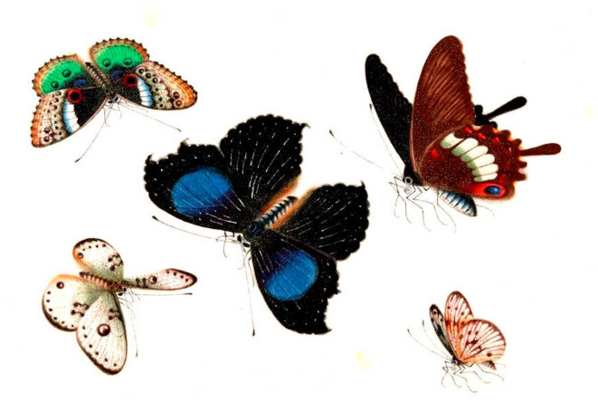 Au coucher du soleil