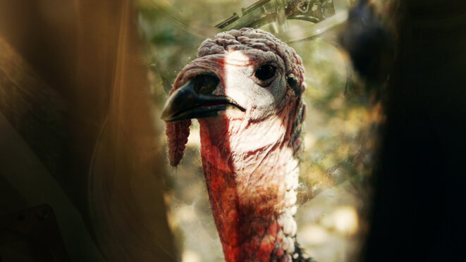 Entretien avec Philippe Rouy, réalisateur de Kaiserling III