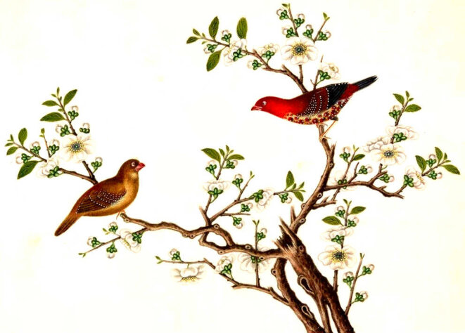 Ils laissèrent tout