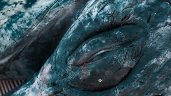 Entretien avec Anastasia Shubina et Timofey Glinin, réalisateurs de Piblokto