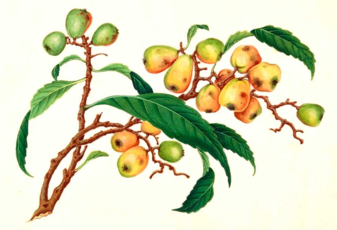 Histoires de pouvoirs