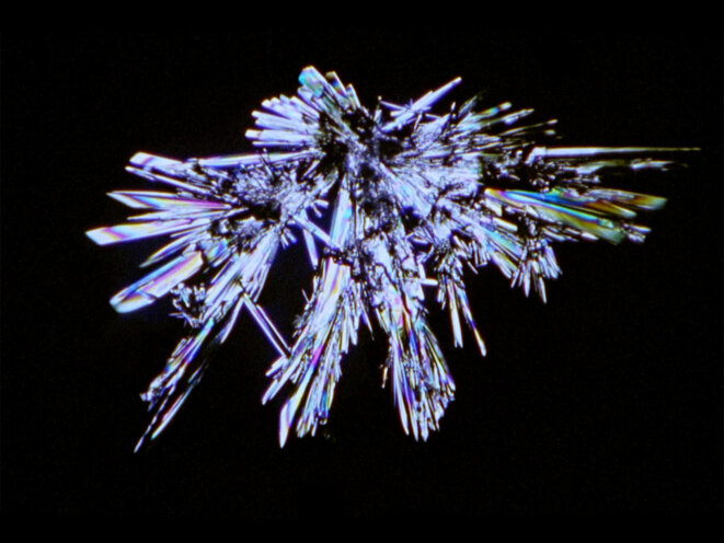 Entretien avec Deborah Stratman, réalisatrice de Last Things