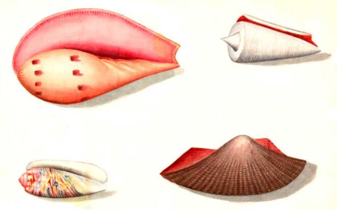 Dans la prière de Dieu