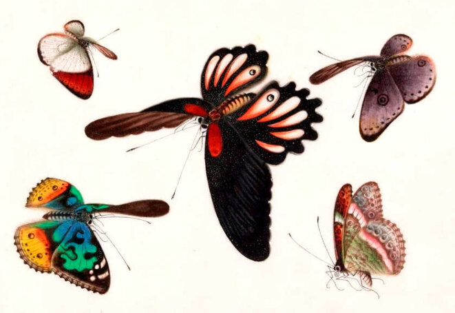 Le "venin" du christianisme