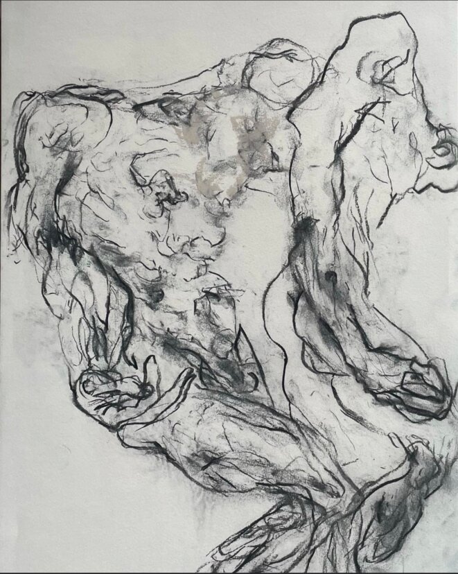 Le devenir transgenre à l'épreuve du dessin