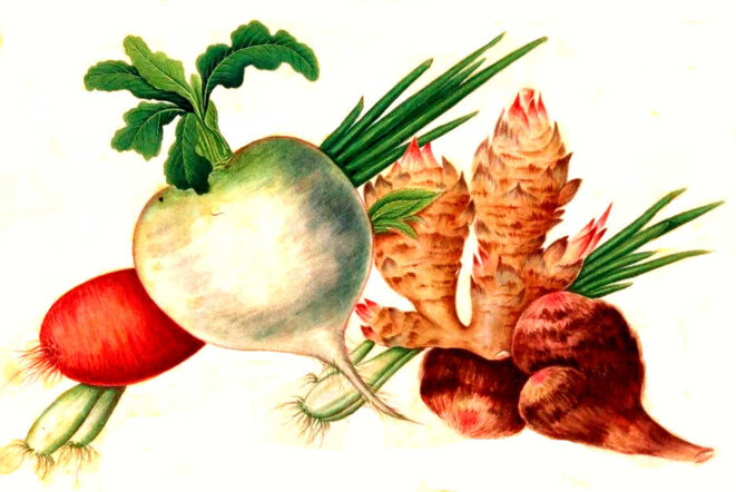 Être, à l'inaccompli