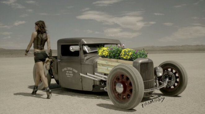 Hot Rod Flower