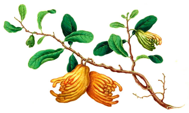 Résumé de la situation