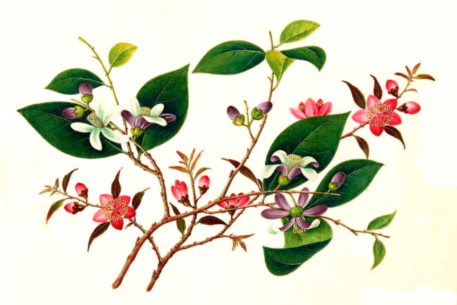 À côté de ses pompes