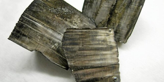 Le lithium présent dans l'eau potable contribue-t-il à l'autisme ?