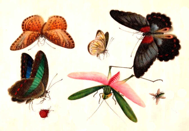 Cela leur était voilé