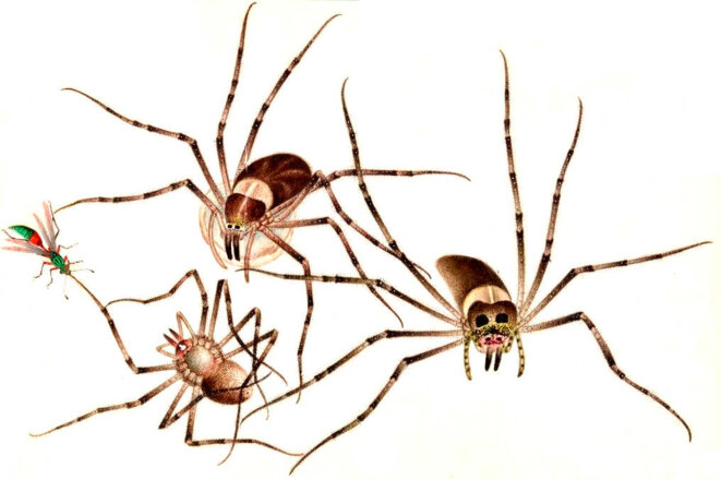 Ils allaient en chemin