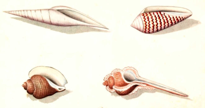 Missions de confiance