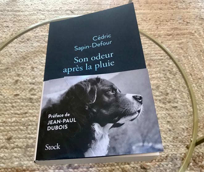 Couverture du livre Son odeur après la pluie, de Cédric Sapin-Defour.