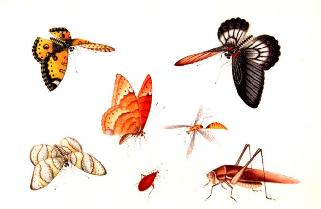 Nos noms inscrits dans les cieux