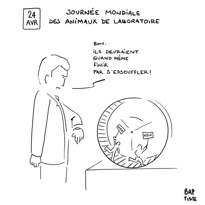 L'autre dessin du jour
