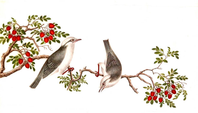 Nous ferons demeure chez lui