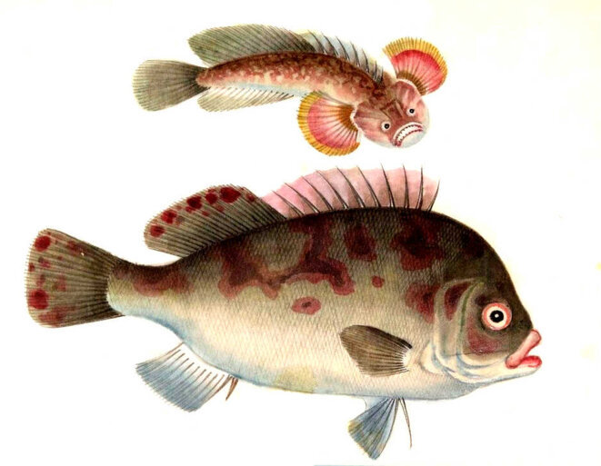 L'amour (soupir) ...