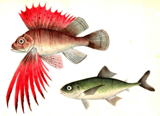 Trois pour le prix d'un ?