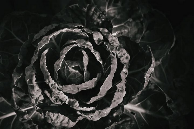 Autisme : Intervention avant l'âge de 2 ans et aptitudes sociales et linguistiques