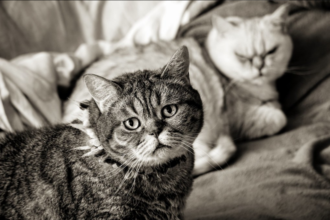 Pourquoi il faut dépister la dépression chez les personnes autistes