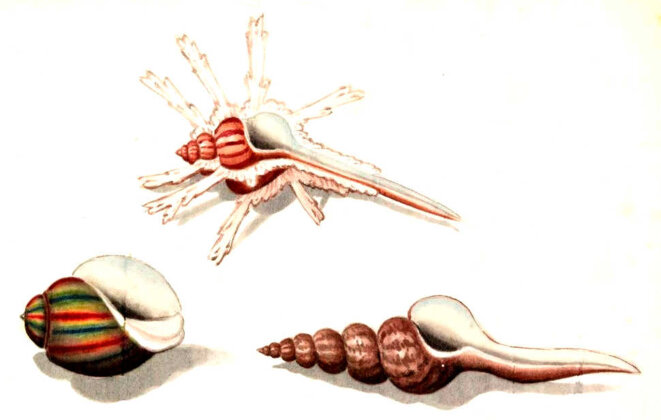 Au-delà de la morale