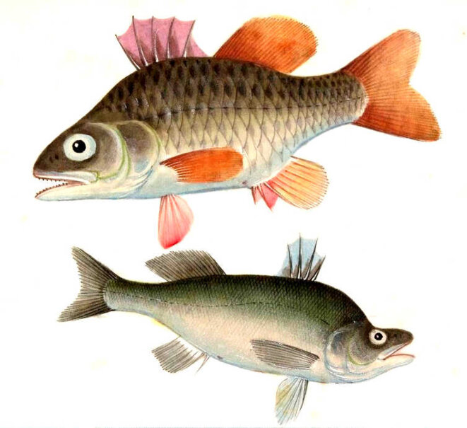 Les invités n'étaient pas dignes