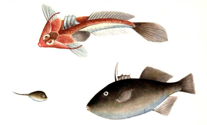 Sans maître, mais pas sans Dieu