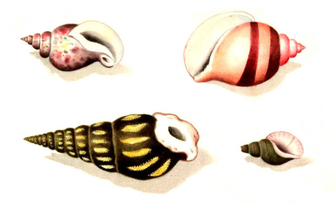 Chercher midi à quatorze heures