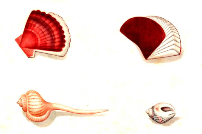 Peu importe le flacon ?