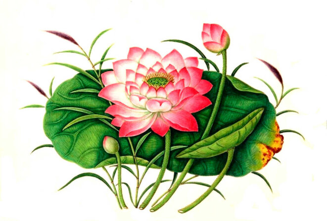 D'où je viens et où je vais...