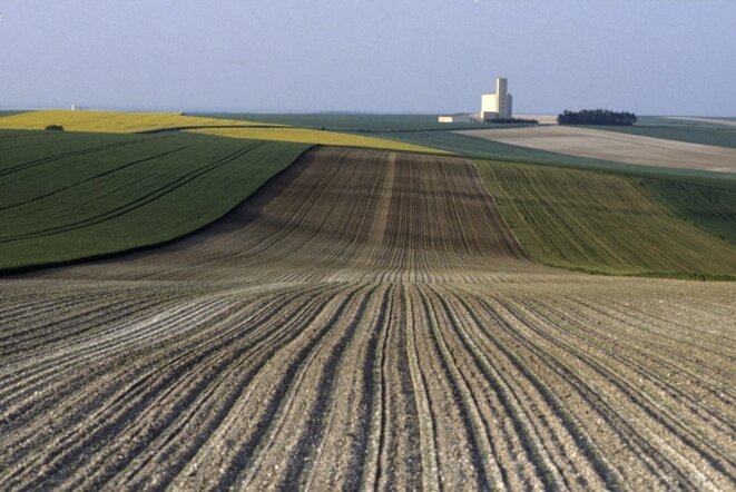 La droite européenne prête à tuer la biodiversité