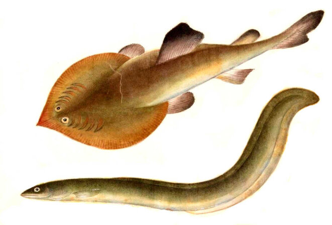 Difficile à comprendre ?